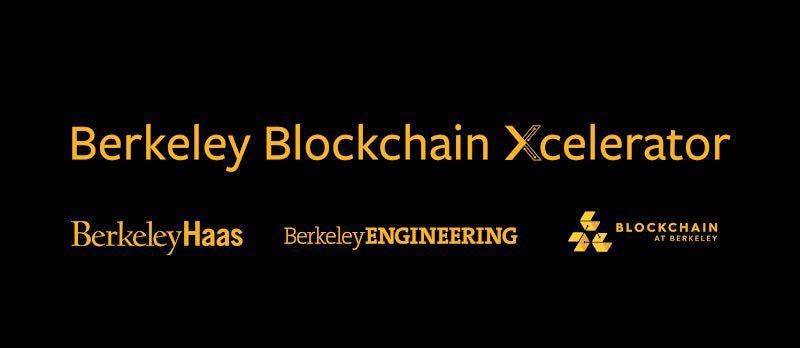 Berkeley Blockchain Xcelerator Director on What DLT Startups Need to Succeed